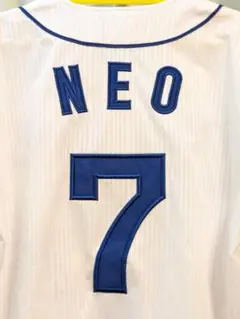 Item thumbnail for item a09d15c7-16c2-44aa-ab2b-5cd929e8498d