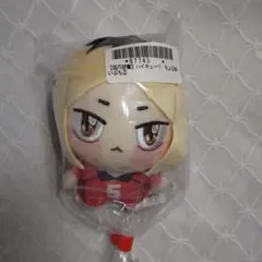 【孤爪研磨】ハイキュー!!　ちょぴぬいぷち②