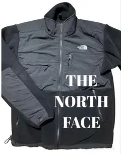 【デナリジャケット】THE NORTH FACE フリース 古着