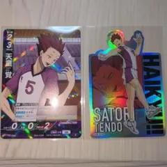 ハイキュー!! 天童覚