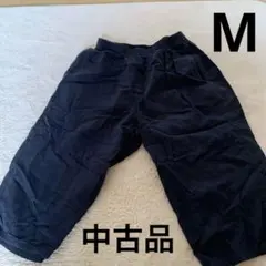 Item thumbnail for item fd724e07-9e8d-44b6-a932-0ff16d5e3f66