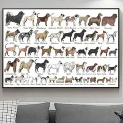 アートポスター　インテリア　リビング　玄関　トイレ　犬図鑑