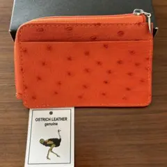 オーストリッチレザー コインケース タンジェリン