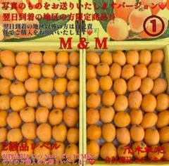 2026年最新】茂木枇杷の人気アイテム - メルカリ