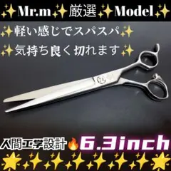 2026年最新】理美容鋏の人気アイテム - メルカリ