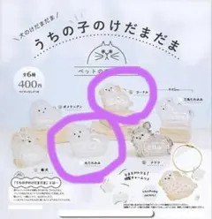 うちの子のけだまだま（犬のけだまだま）　プードル・丸たれみみ　2種セット