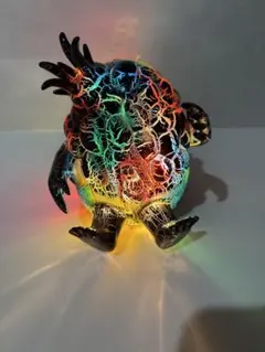 妖塊　E.ムランジーニョ　var.rainbow