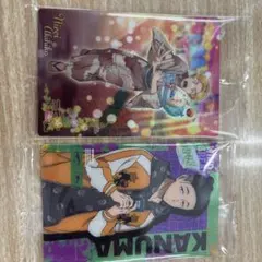 WINDBREAKERウエハースカード2　楡井　鹿沼