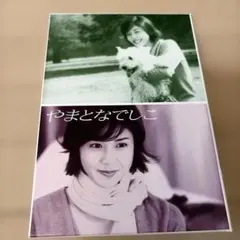 やまとなでしこ DVD 全6巻セットのサムネイル