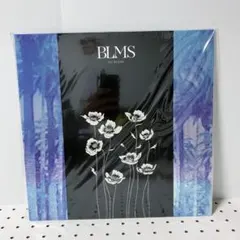 Item thumbnail for item 04c85cc0-03f7-4c0c-b2d8-784c6bd72352