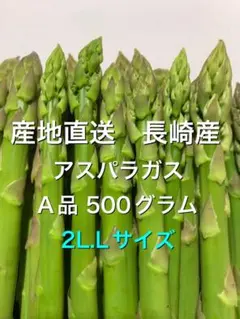 長崎産アスパラガス2L.Lサイズ 500グラムのサムネイル