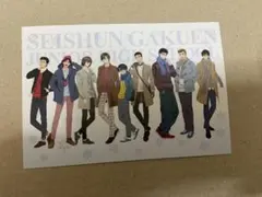 テニスの王子様　ポストカード　青学