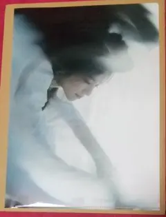 Item thumbnail for item af9f513d-3362-4ee7-9274-7d1f53c0d455