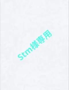 Stm様専用