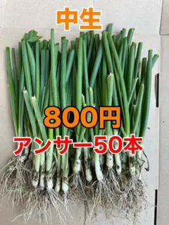 chiiii☺︎様 リクエスト 2点 まとめ商品