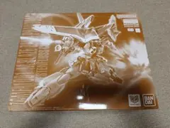 MGブレイズザクファントム & HGデスティニーガンダム ハイネ搭乗2機セット
