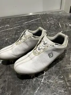 Item thumbnail for item 159cc7c4-1bd6-446f-ac59-6d618b740714