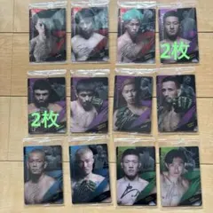 RIZIN ウエハースカード　まとめ売り14枚
