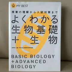 Item thumbnail for item 0a6d67af-0a3f-4118-a1d2-0a22a68bd9d4