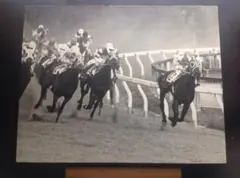 1977年有馬記念写真パネル 写真パネル テンポイント - メルカリ