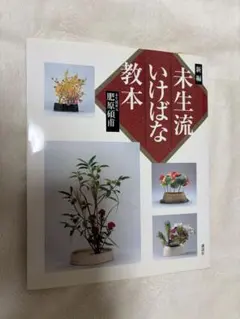 2026年最新】未生流の人気アイテム - メルカリ