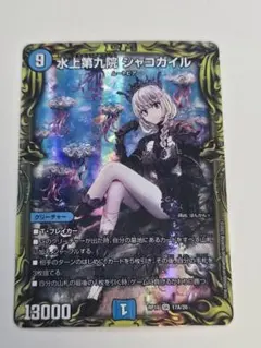 シャコガイル　a 2枚 シャコガイル a 2枚 シャコガイル a 2枚 【公式通販】