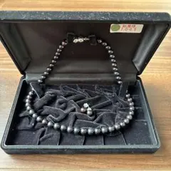 Item thumbnail for item 292c1c38-2924-4ade-9a8b-f657998289ba