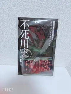 鬼滅の刃　無限城編　不死川実弥　スライドアクリルキーホルダー