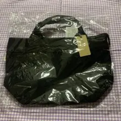 Item thumbnail for item d8e9207a-4fb0-414e-91cc-853129cbcea8