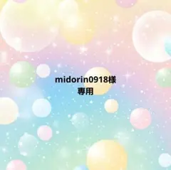 midorin0918様 リクエスト 2点 まとめ商品