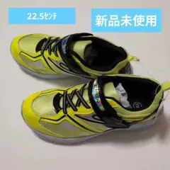 Item thumbnail for item 68fecf51-6c3d-492f-bce7-270de628dd6f