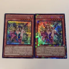 遊戯王 魔術師の弟子-ブラック・マジシャン・ガール 3枚 コレクターズ