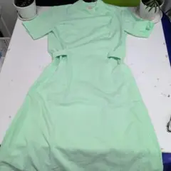 Item thumbnail for item 277a678c-da6e-4050-95d4-5e4624cd94af