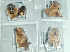 ヒマラヤマーモット まもち　アクリルマスコット　アクリルスタンド