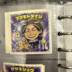サンフレッチェ広島　松本泰志　サンフレヒーローズシール