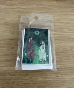 ブルーロック　アクキー　潔＆凛