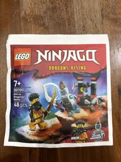 LEGO Ninjago Dragons Rising