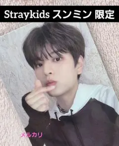 Stray Kids MAXIDENT スンミン トレカ 限定