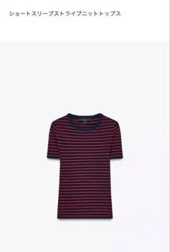 ZARA ショートスリーブストライプニットトップス