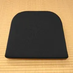 テンピュール　シートクッションS 12001C