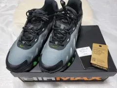 Nike Air Max DN8