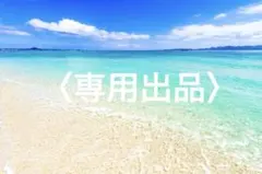 専用出品