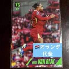 2026年最新】フィルジルファンダイクの人気アイテム - メルカリ