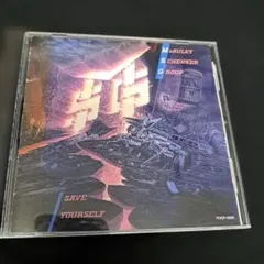 McAuley Schenker Group SAVE YOURSELF