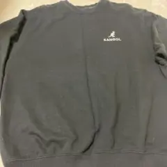 Item thumbnail for item b8a62f69-637a-45d6-bc09-f46a5361af18