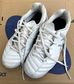 ASICS DS LIGHT サッカーシューズ 22.5cm ホワイト