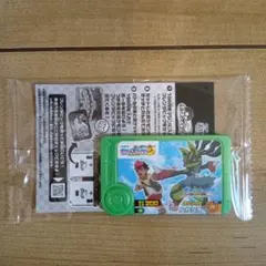 JRスタンプラリー ポケモンフレンダ 黄色いメガルカリオ