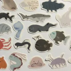 深海魚　フレークシール　【24種類】【直径約2〜3㎝】