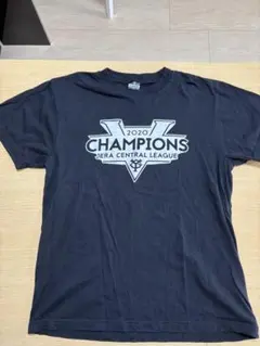 Item thumbnail for item 9d03d851-488d-4b16-8f56-3e7c58e6146a