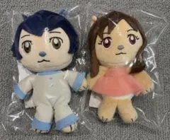 雨/雪と雪/雨の アクリルチャーム付きマスコットぬいぐるみ 2個 細田守